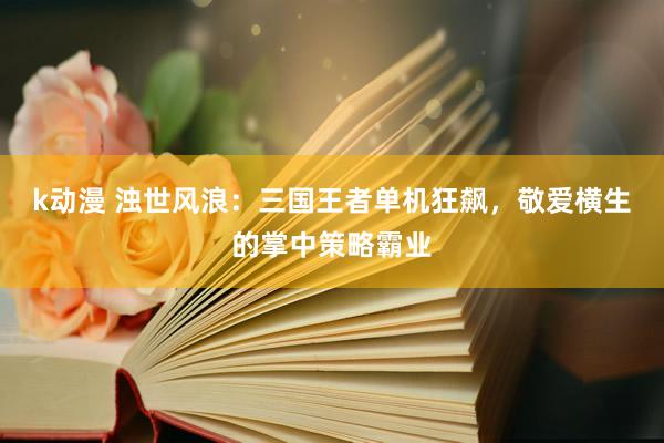 k动漫 浊世风浪：三国王者单机狂飙，敬爱横生的掌中策略霸业