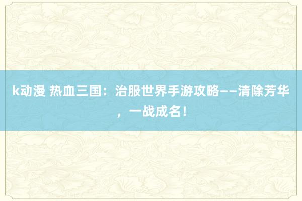 k动漫 热血三国：治服世界手游攻略——清除芳华，一战成名！