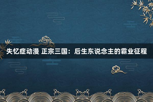 失忆症动漫 正宗三国：后生东说念主的霸业征程