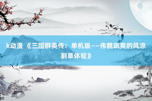 k动漫 《三国群英传：单机版——伟貌飒爽的风凉割草体验》