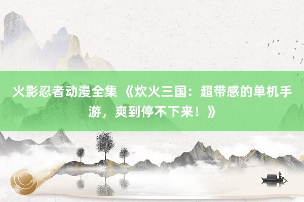 火影忍者动漫全集 《炊火三国：超带感的单机手游，爽到停不下来！》